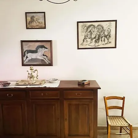 Mimmiu S House *